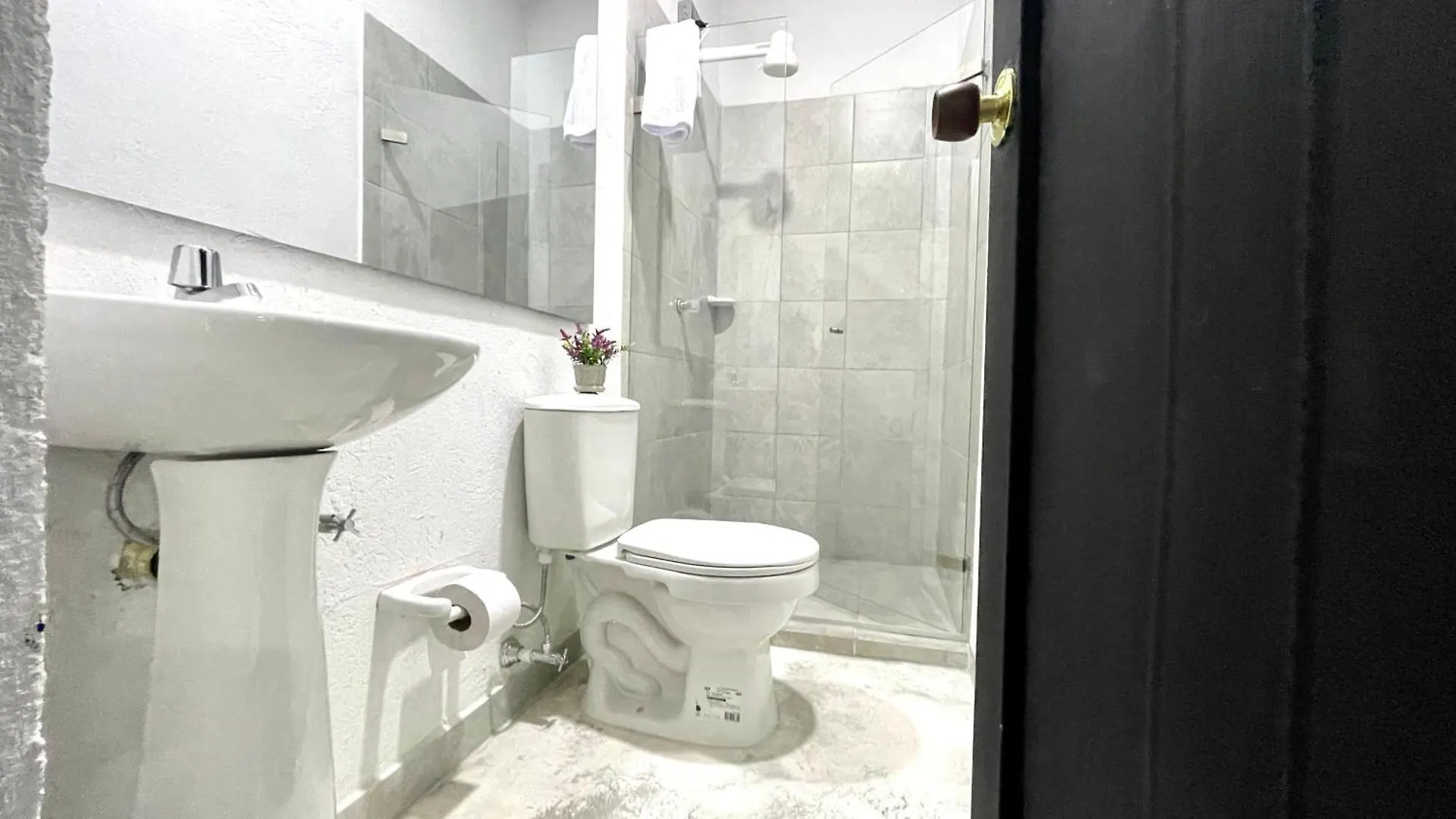 Jardin Loft Daire Medellín Kolombiya